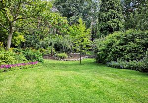 Optimiser l'expérience du jardin à Saint-Aubin-Chateau-Neuf